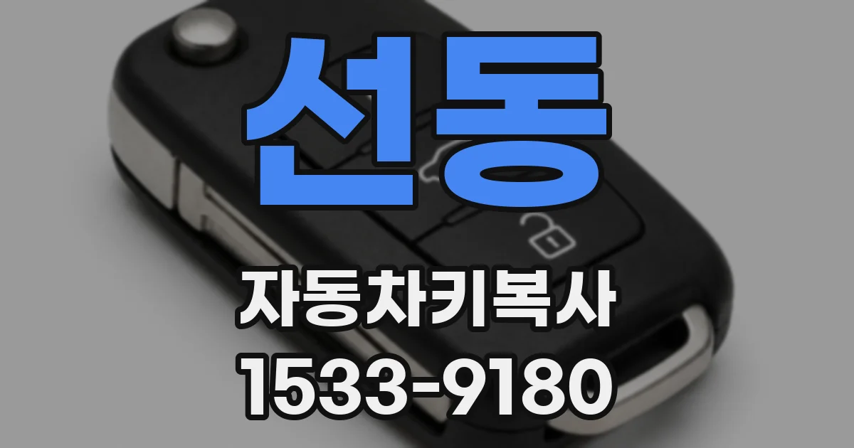 선동 자동차키복사