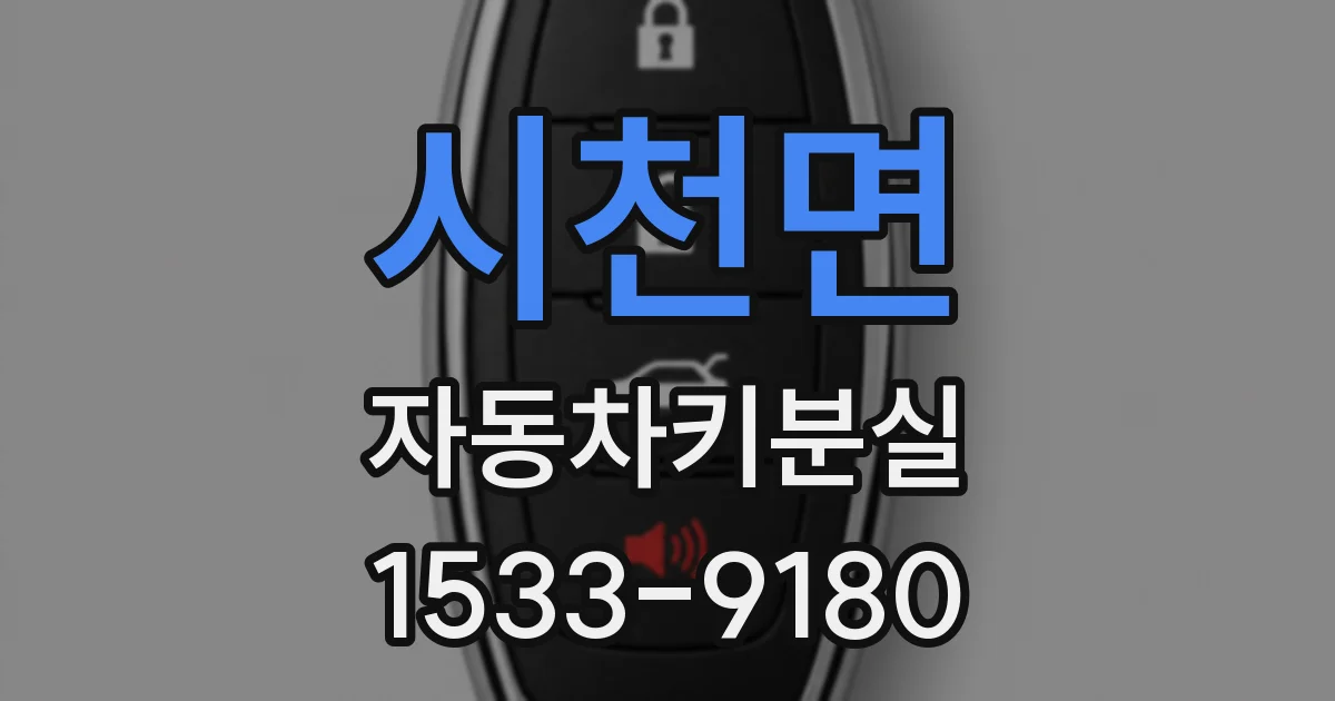 시천면 자동차키분실