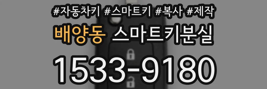 배양동 스마트키분실