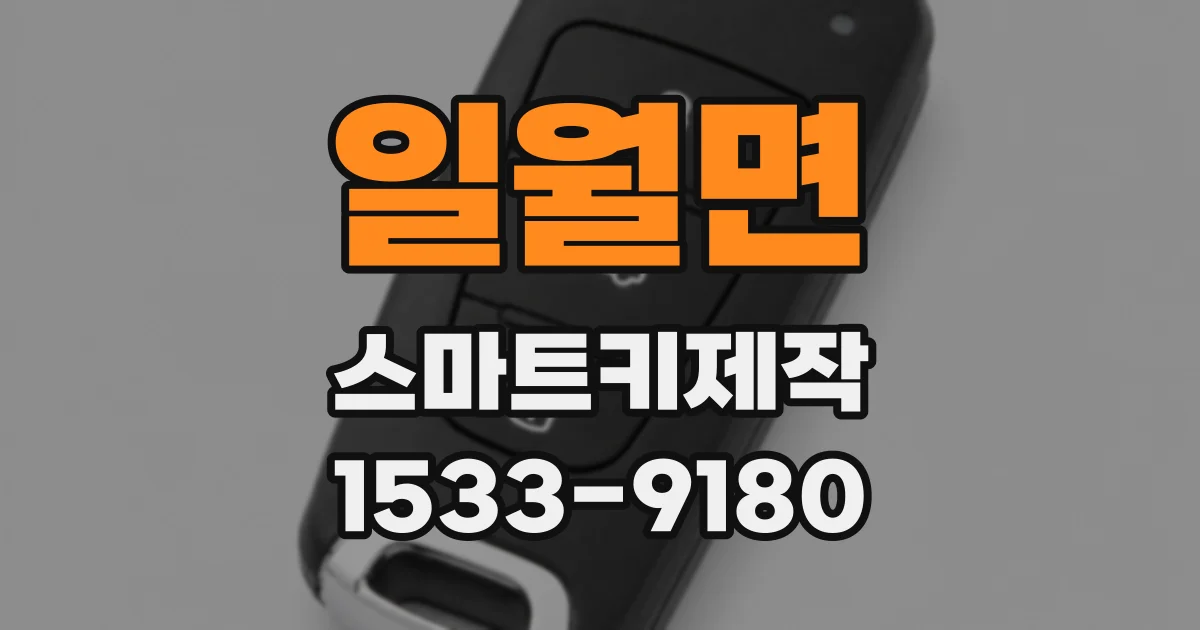 일월면 스마트키제작