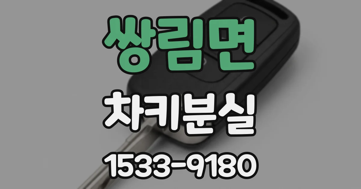 쌍림면 차키분실