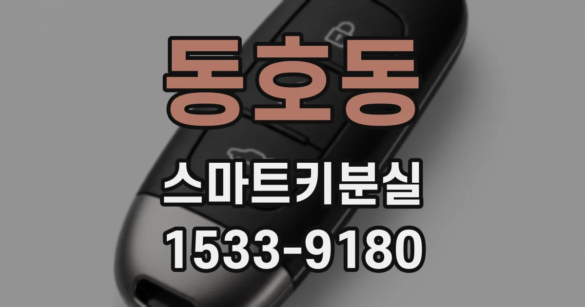 동호동 스마트키분실