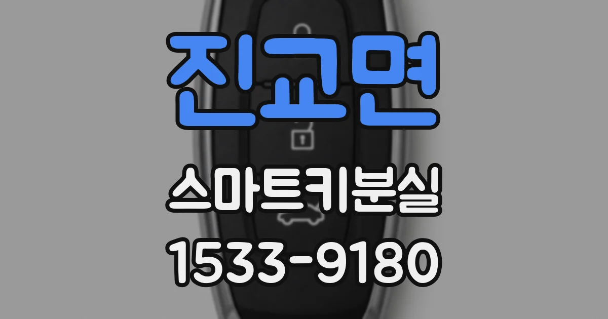 진교면 스마트키분실