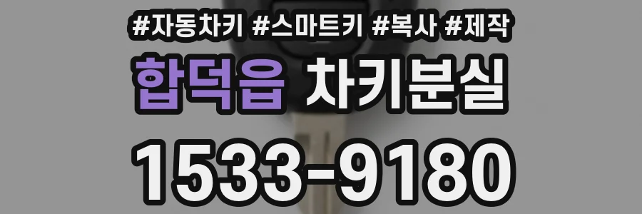 합덕읍 차키분실