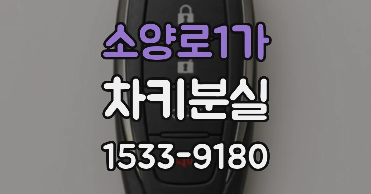소양로1가 차키분실