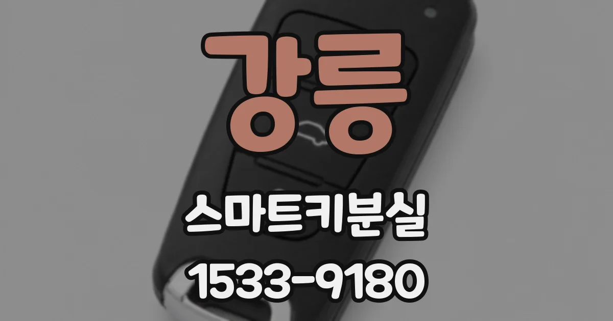 강릉 스마트키분실
