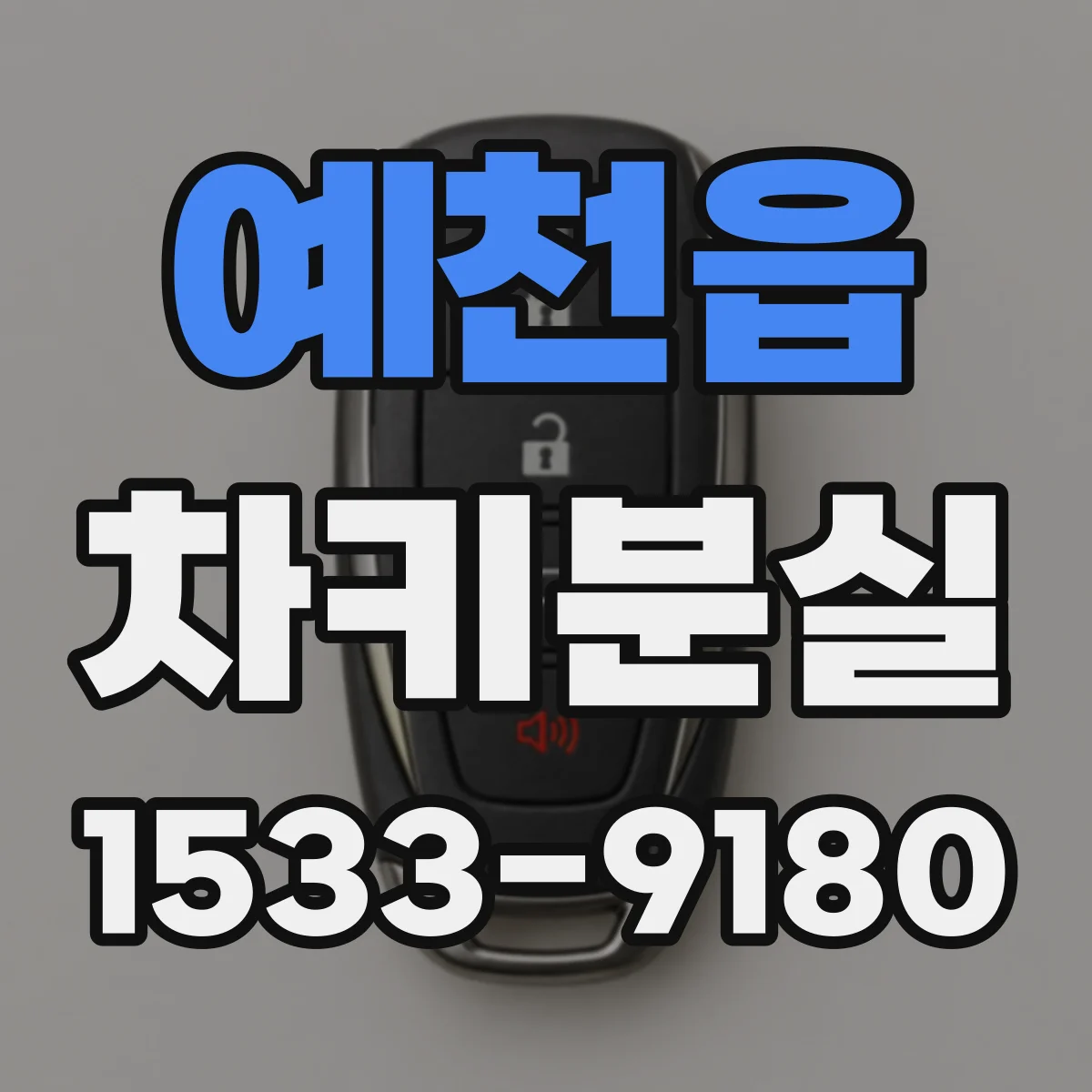 예천읍 차키분실