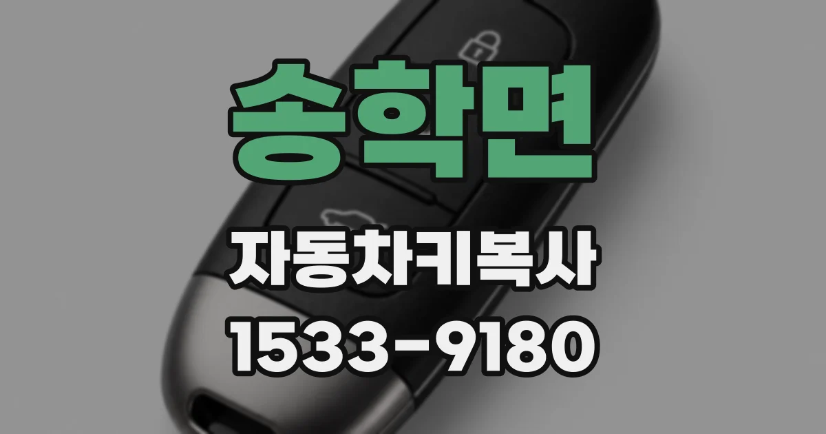 송학면 자동차키복사