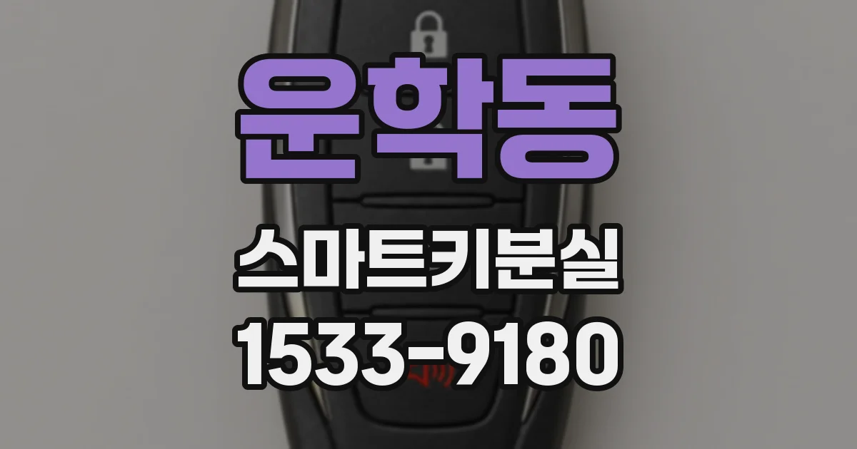 운학동 스마트키분실