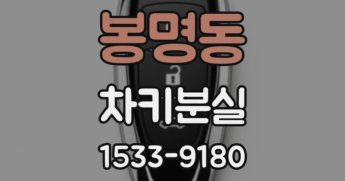 봉명동 차키분실