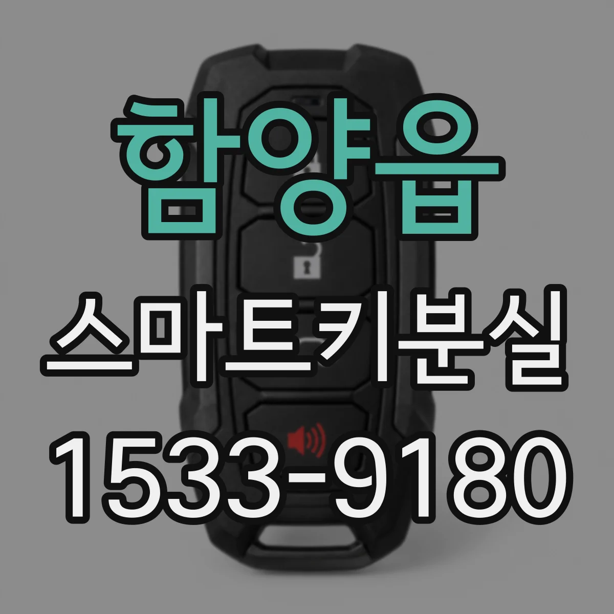 함양읍 스마트키분실