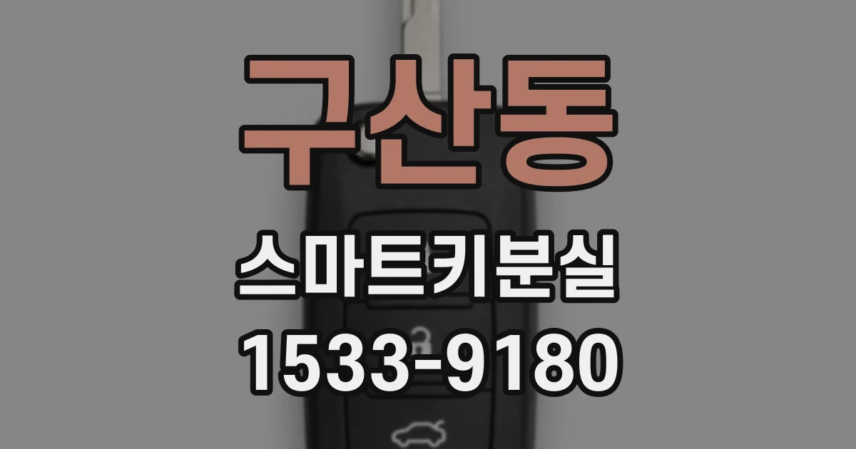 구산동 스마트키분실