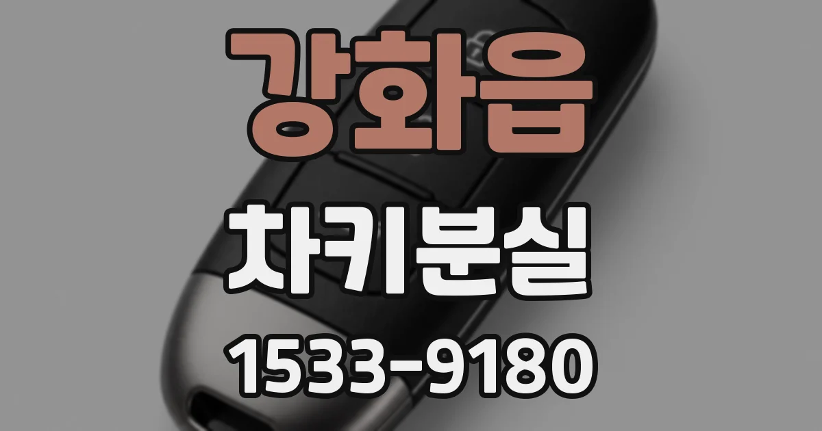 강화읍 차키분실