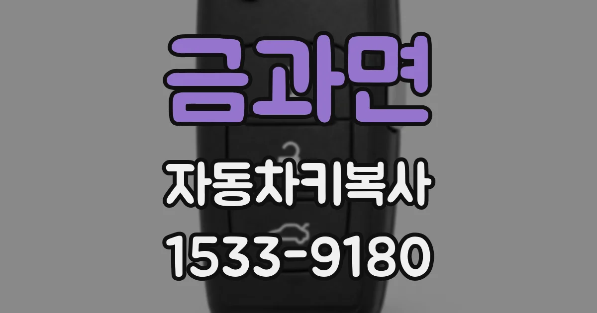 금과면 자동차키복사