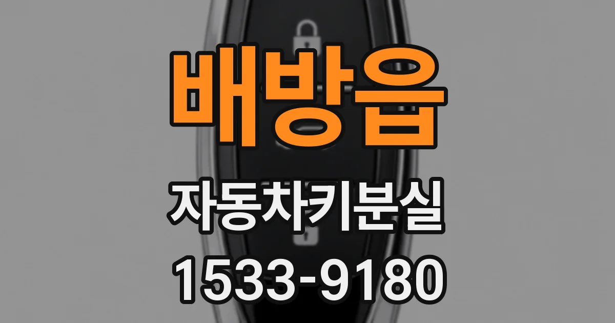 배방읍 자동차키분실