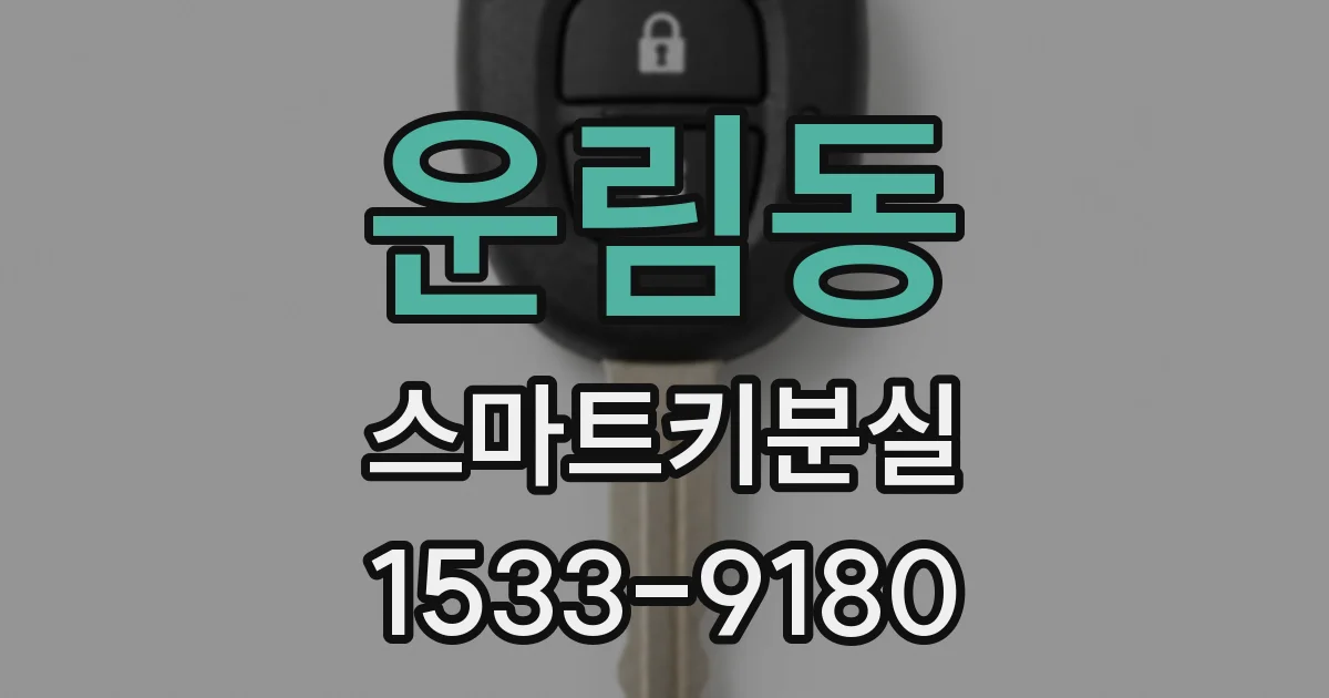 운림동 스마트키분실