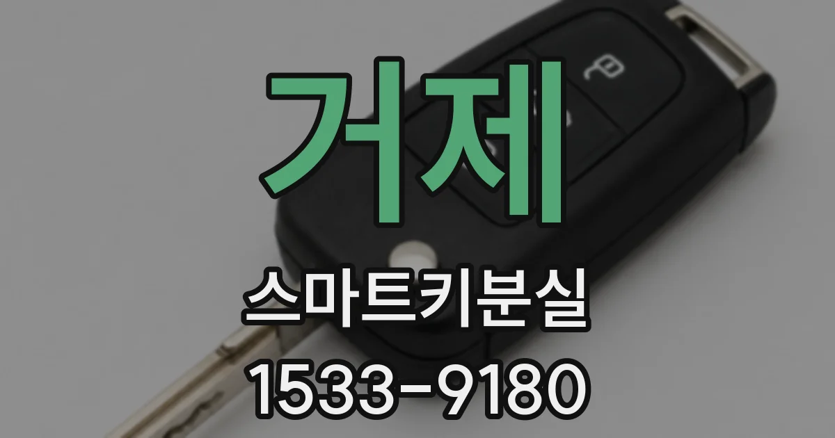 거제 스마트키분실