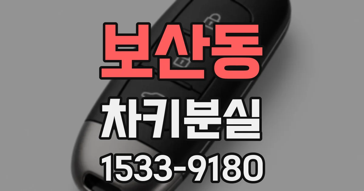 보산동 차키분실