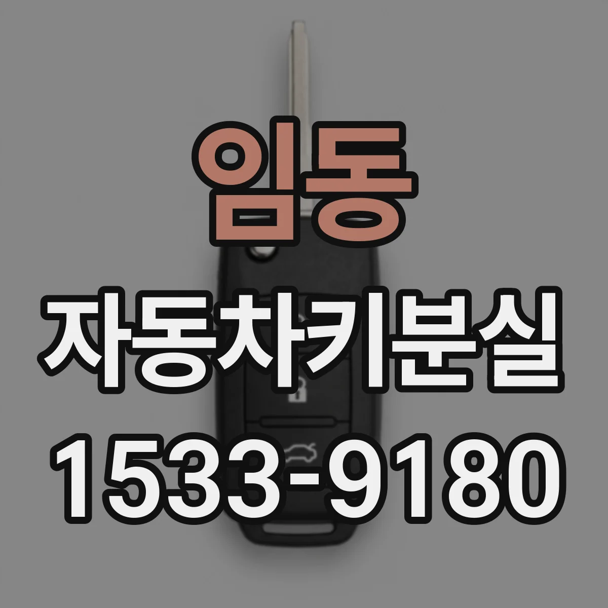 임동 자동차키분실