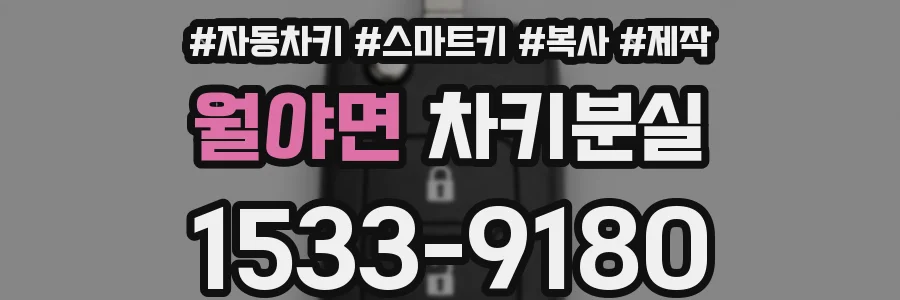 월야면 차키분실