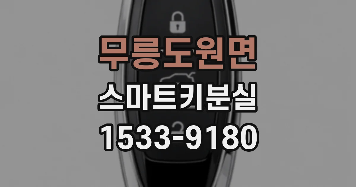 무릉도원면 스마트키분실