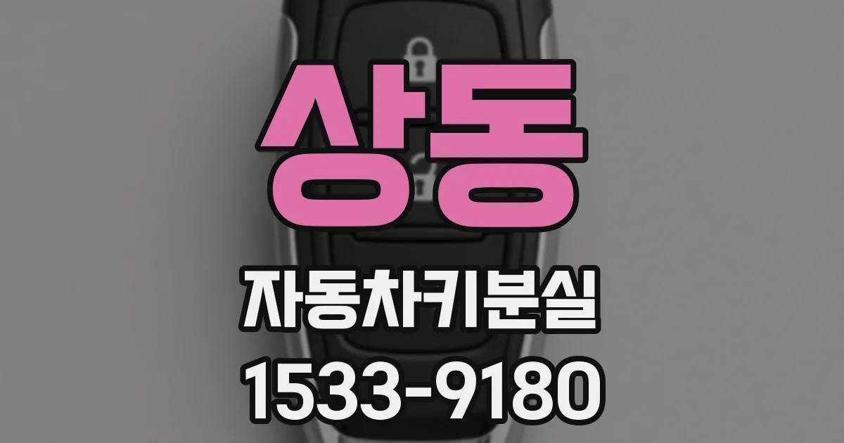 상동 자동차키분실