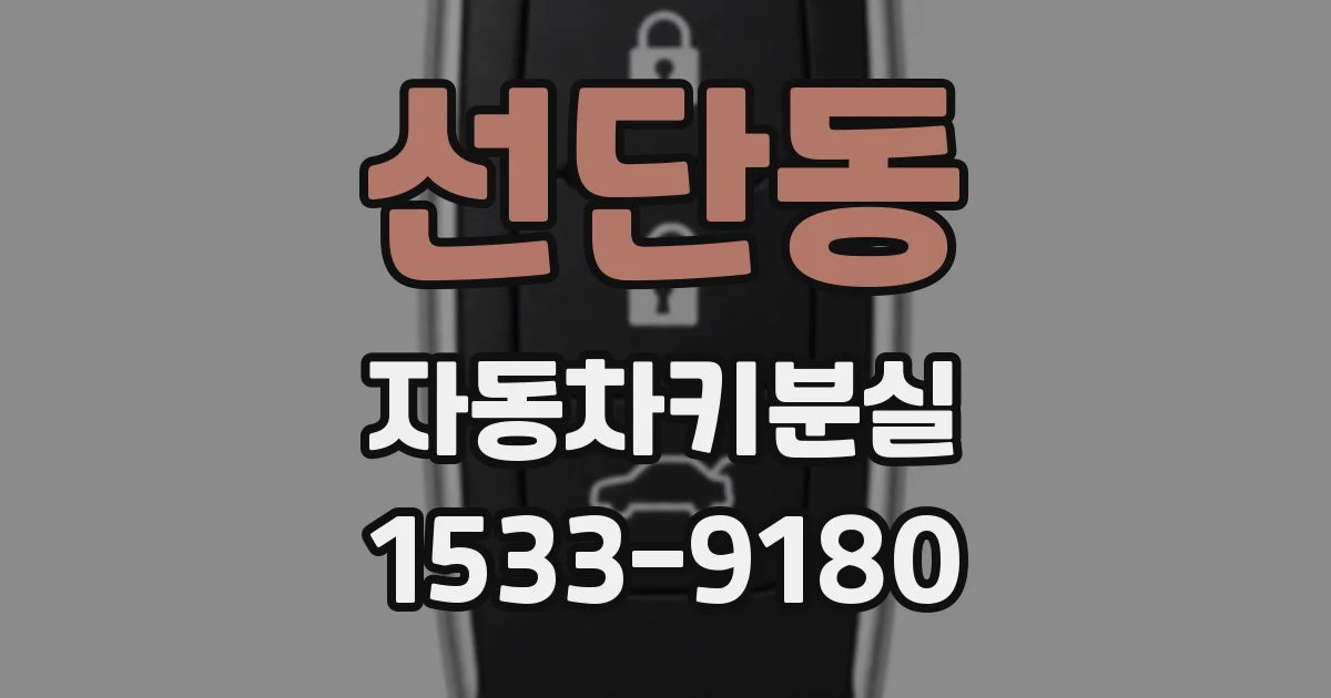선단동 자동차키분실