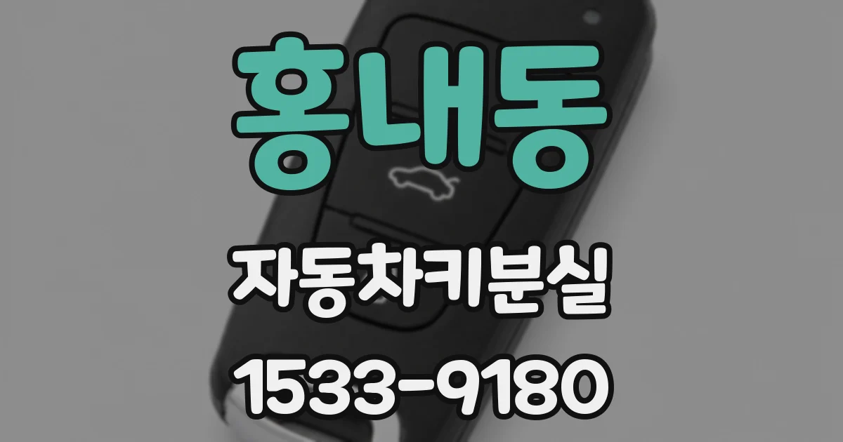홍내동 자동차키분실