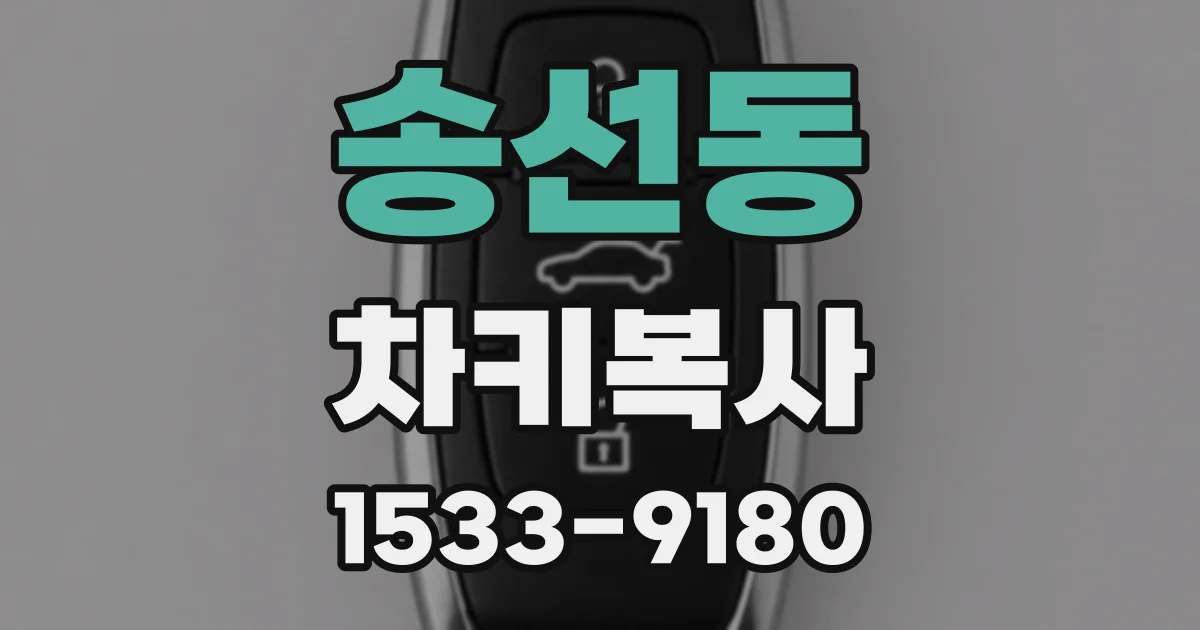 송선동 차키복사