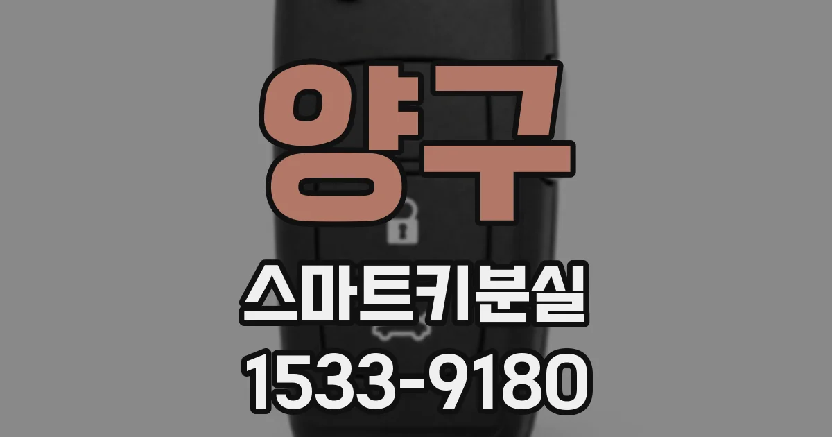 양구 스마트키분실