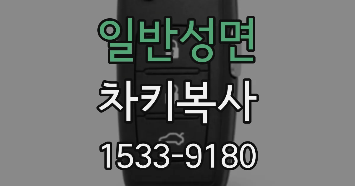 일반성면 차키복사
