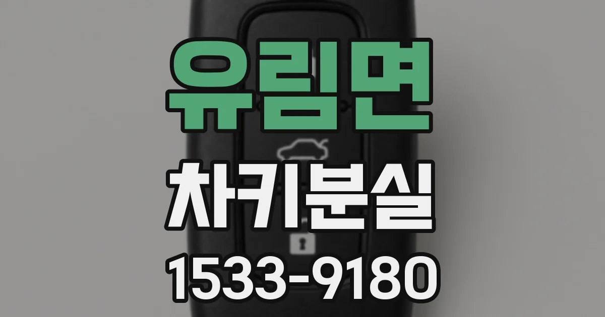 유림면 차키분실