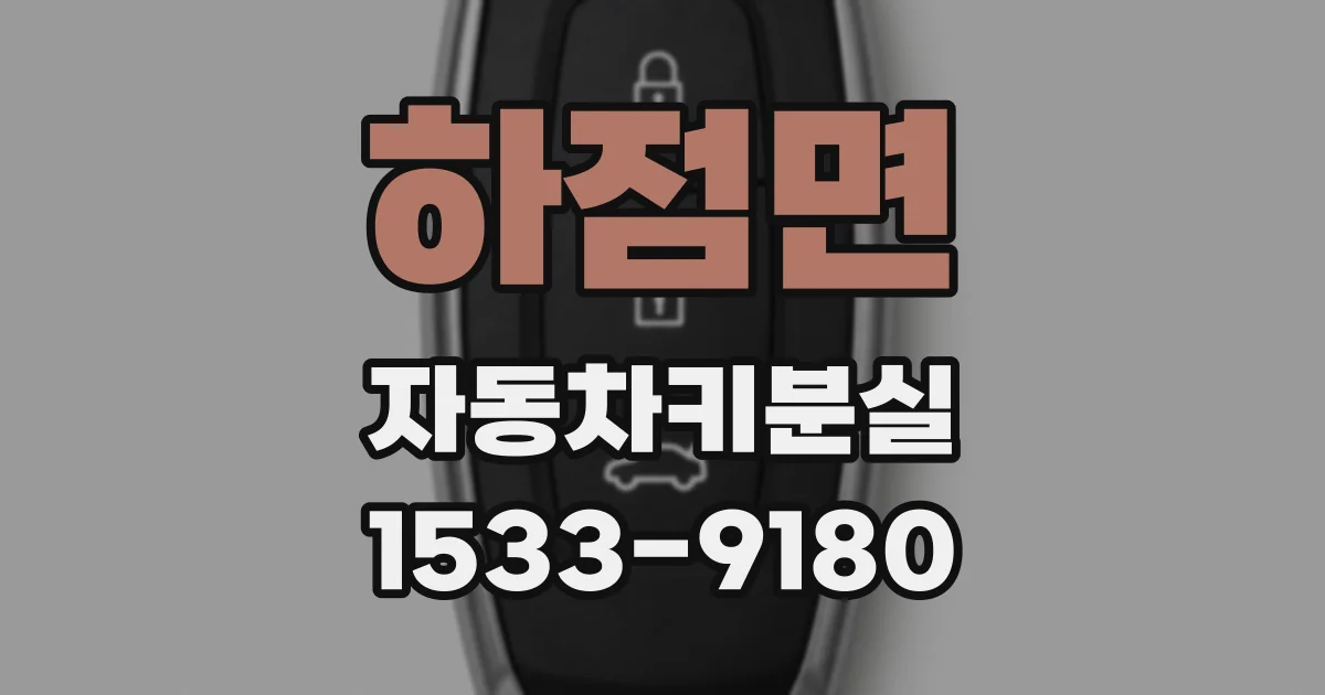 하점면 자동차키분실