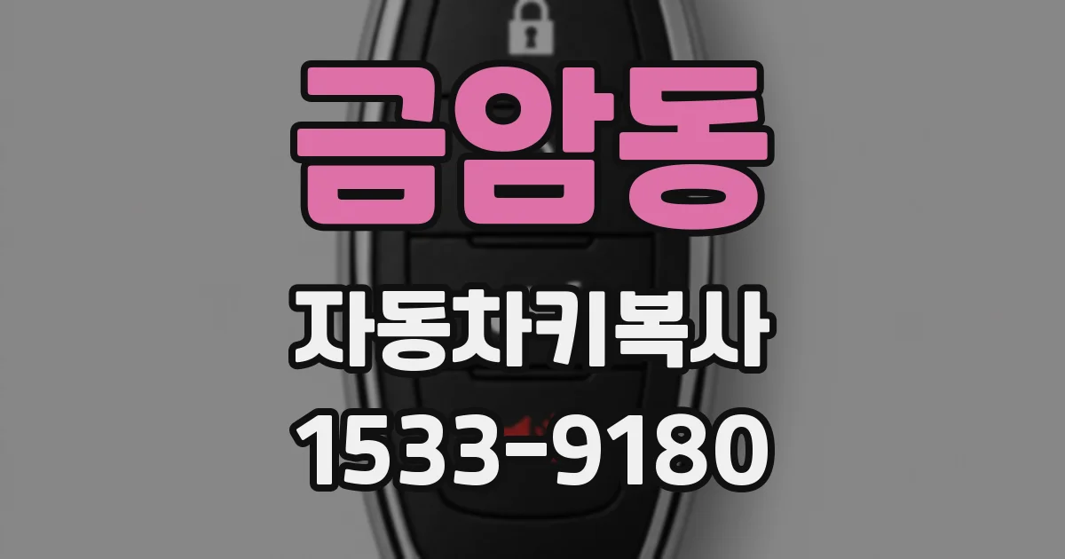 금암동 자동차키복사