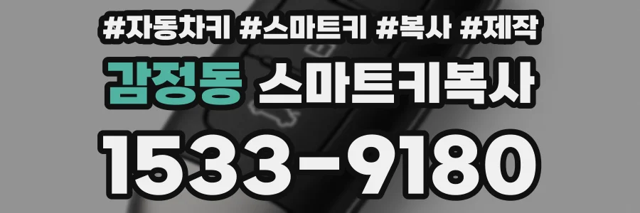 감정동 스마트키복사