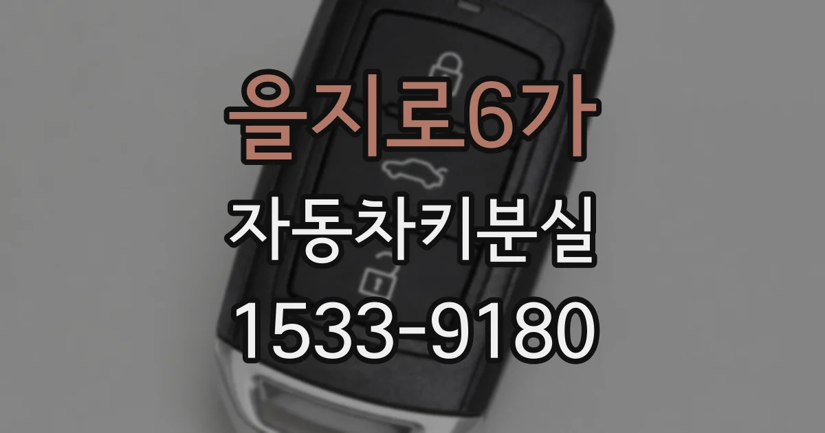 을지로6가 자동차키분실