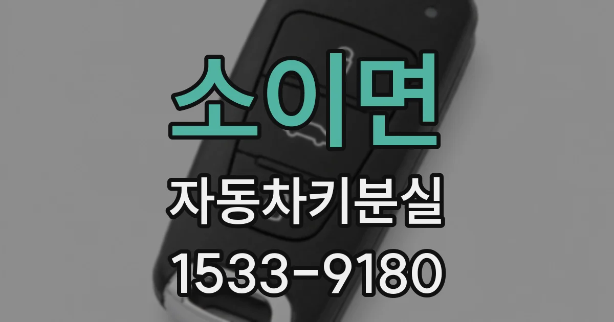 소이면 자동차키분실