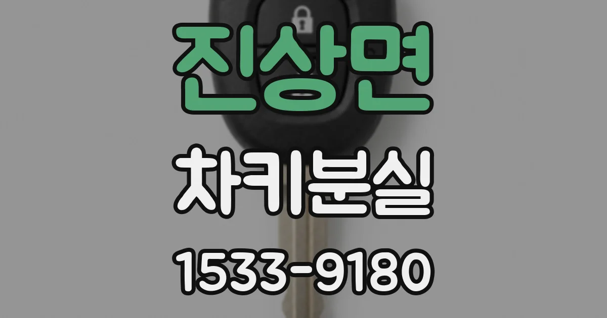 진상면 차키분실