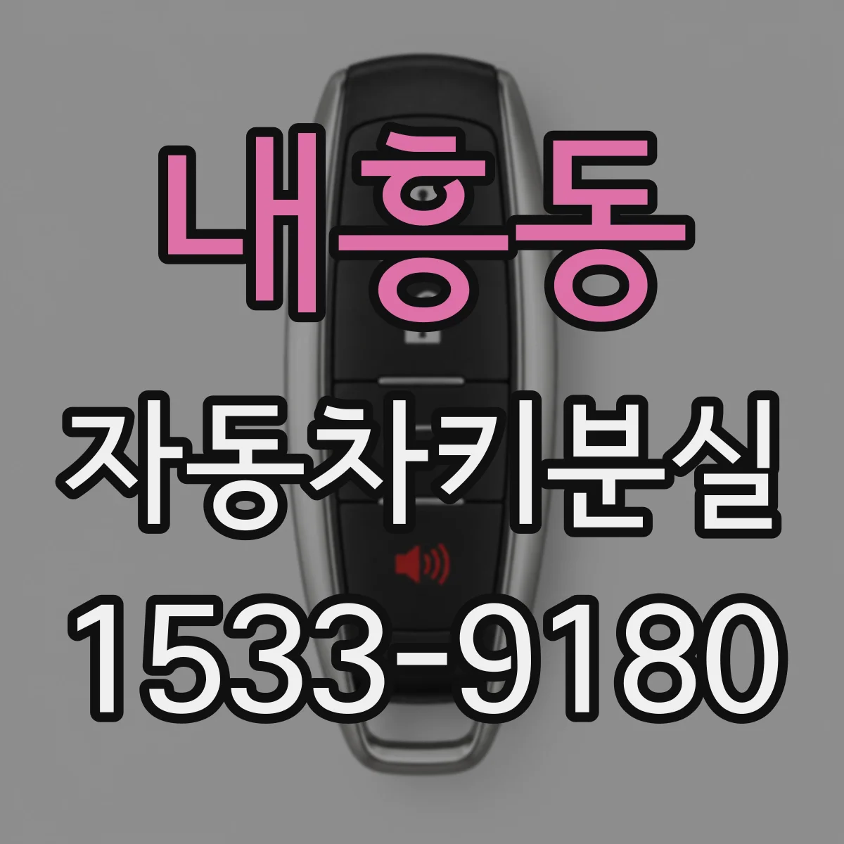 내흥동 자동차키분실