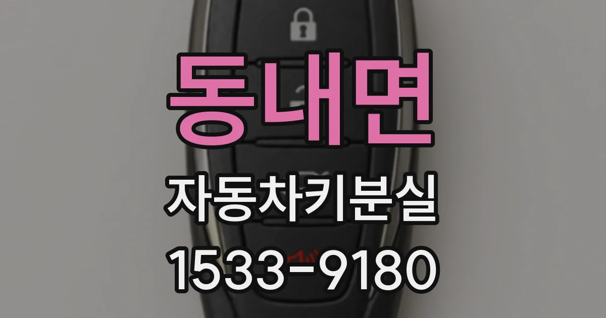 동내면 자동차키분실
