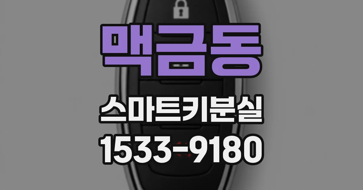 맥금동 스마트키분실