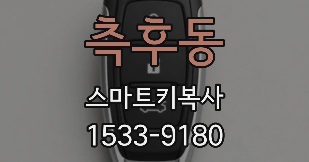 측후동 스마트키복사