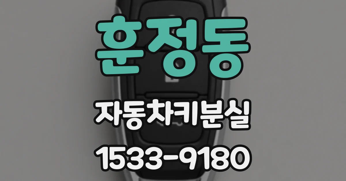 훈정동 자동차키분실