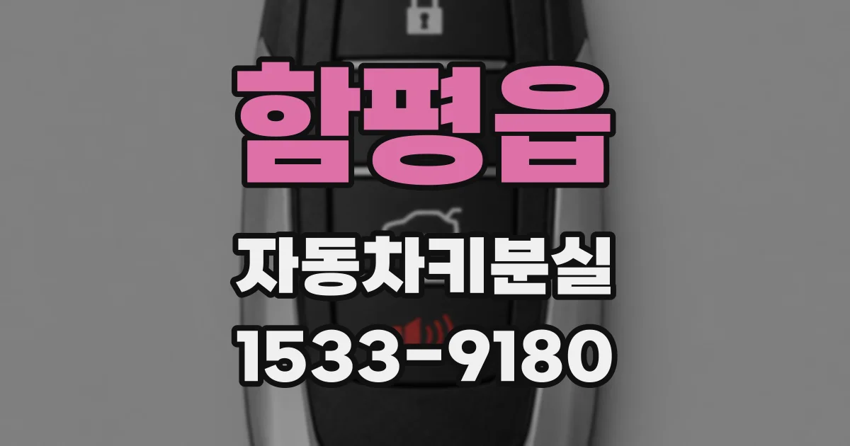 함평읍 자동차키분실