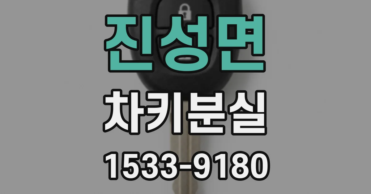 진성면 차키분실