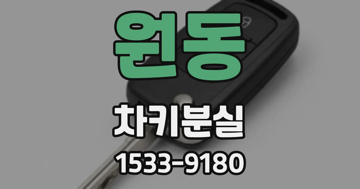 원동 차키분실