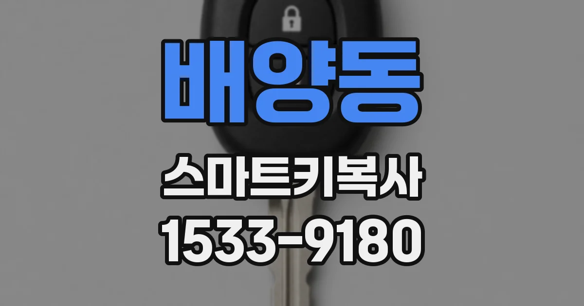배양동 스마트키복사