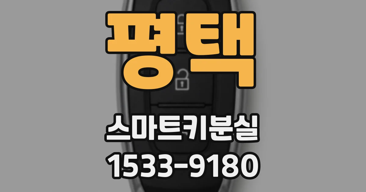 평택 스마트키분실