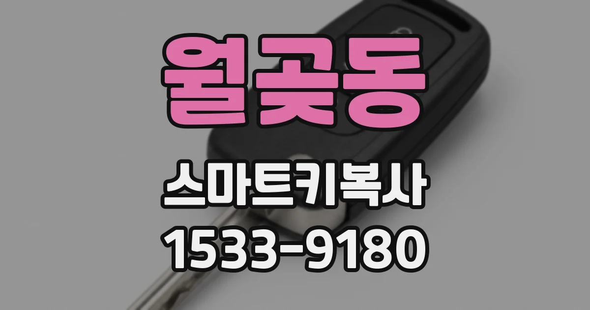 월곶동 스마트키복사