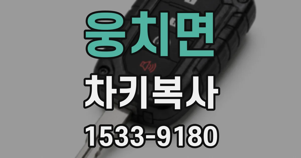 웅치면 차키복사